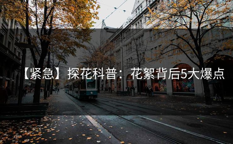 【紧急】探花科普：花絮背后5大爆点