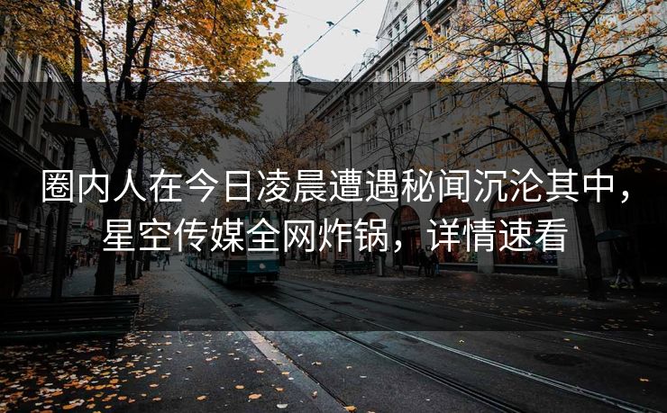 圈内人在今日凌晨遭遇秘闻沉沦其中，星空传媒全网炸锅，详情速看