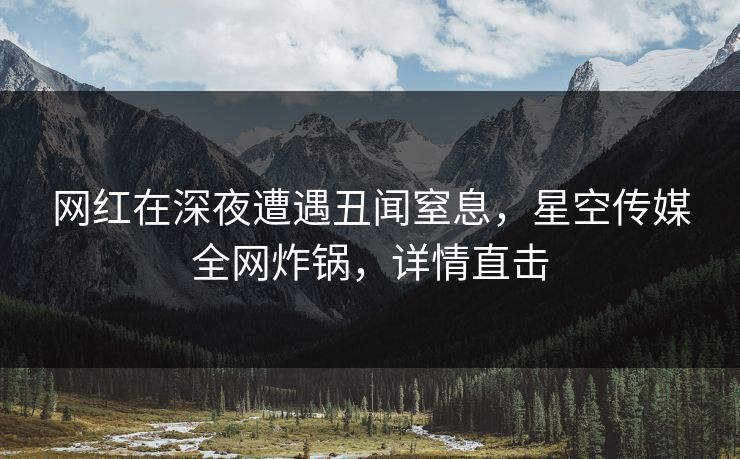 网红在深夜遭遇丑闻窒息，星空传媒全网炸锅，详情直击