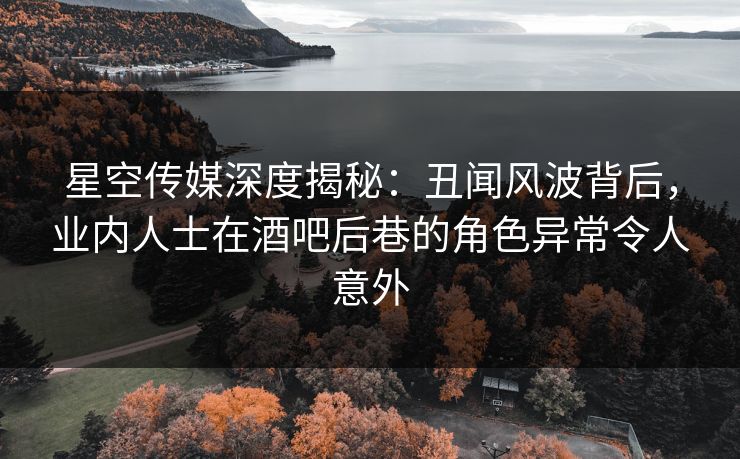 星空传媒深度揭秘：丑闻风波背后，业内人士在酒吧后巷的角色异常令人意外