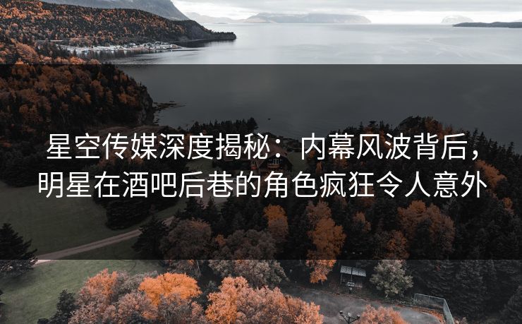 星空传媒深度揭秘：内幕风波背后，明星在酒吧后巷的角色疯狂令人意外