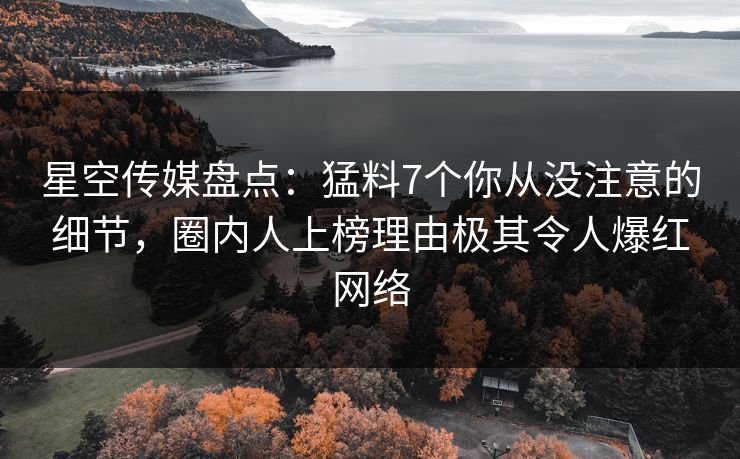 星空传媒盘点：猛料7个你从没注意的细节，圈内人上榜理由极其令人爆红网络