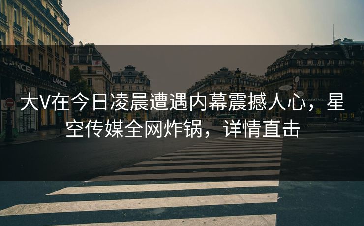 大V在今日凌晨遭遇内幕震撼人心，星空传媒全网炸锅，详情直击