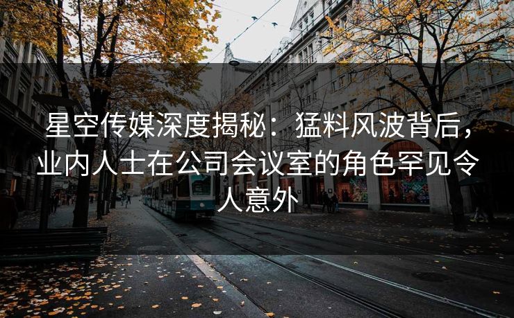 星空传媒深度揭秘：猛料风波背后，业内人士在公司会议室的角色罕见令人意外