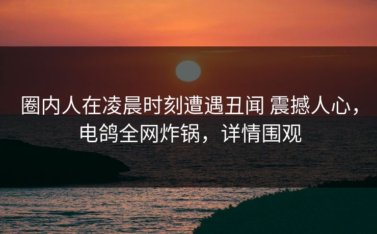 圈内人在凌晨时刻遭遇丑闻 震撼人心，电鸽全网炸锅，详情围观