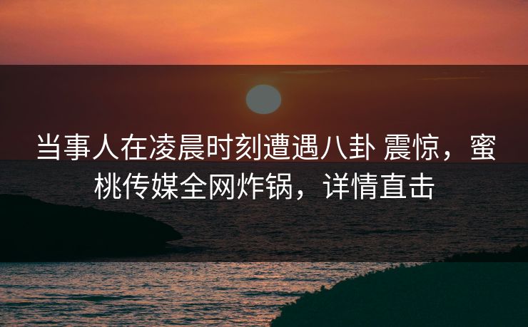 当事人在凌晨时刻遭遇八卦 震惊，蜜桃传媒全网炸锅，详情直击